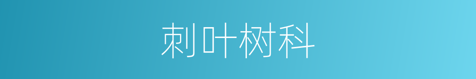 刺叶树科的同义词