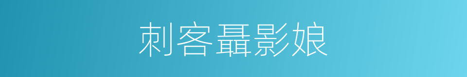 刺客聶影娘的同義詞