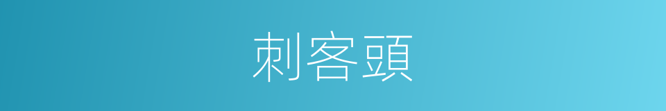 刺客頭的同義詞