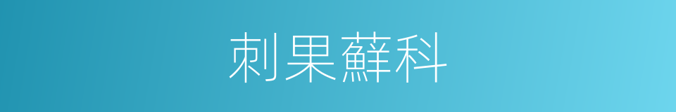 刺果蘚科的同義詞