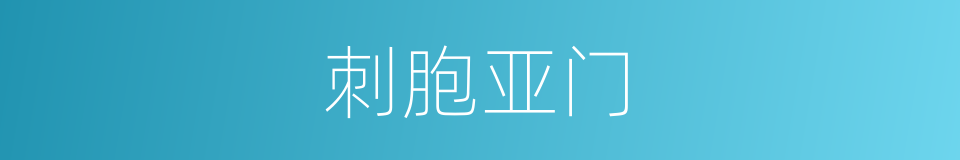 刺胞亚门的同义词