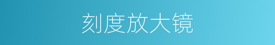 刻度放大镜的同义词