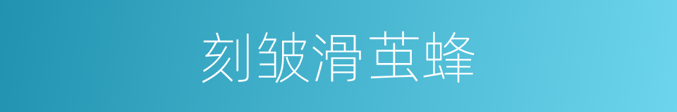 刻皱滑茧蜂的同义词