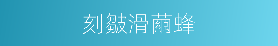 刻皺滑繭蜂的同義詞