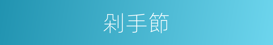 剁手節的同義詞