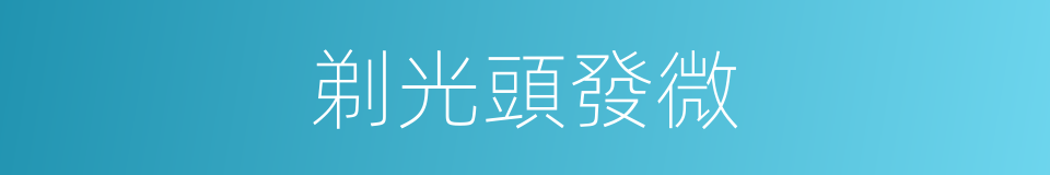 剃光頭發微的同義詞
