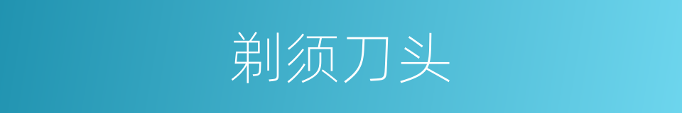 剃须刀头的同义词