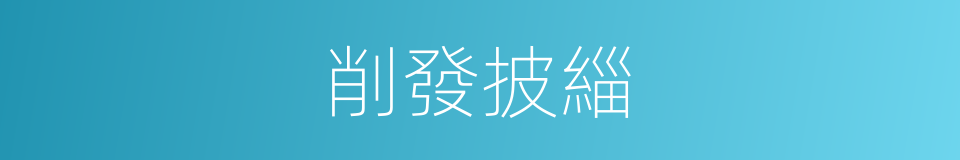 削發披緇的意思