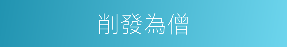 削發為僧的同義詞