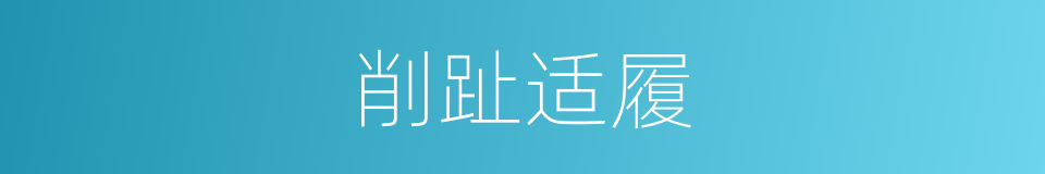 削趾适履的意思