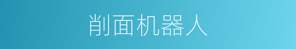 削面机器人的同义词