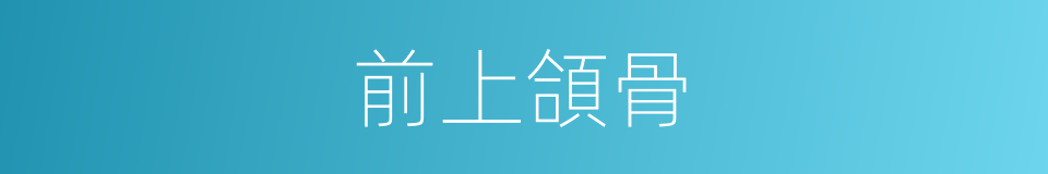 前上頜骨的同義詞