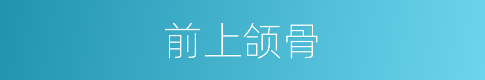 前上颌骨的同义词