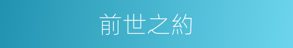 前世之約的同義詞