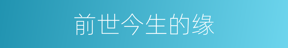 前世今生的缘的同义词