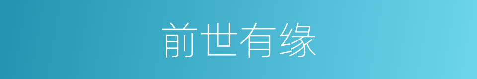 前世有缘的同义词