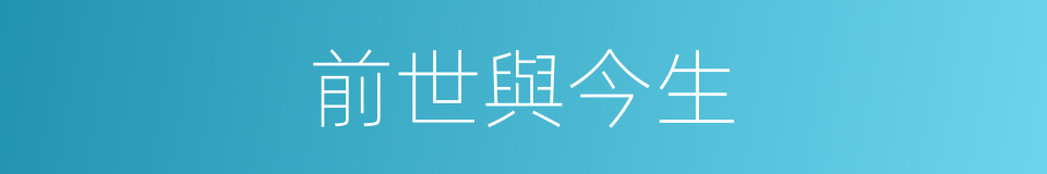 前世與今生的同義詞