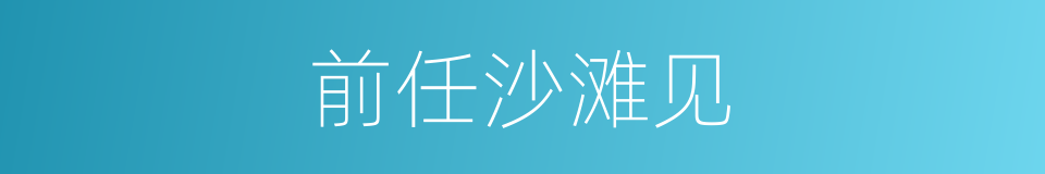 前任沙滩见的同义词