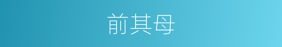 前其母的同义词