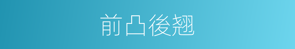 前凸後翘的同義詞