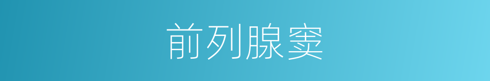 前列腺窦的同义词