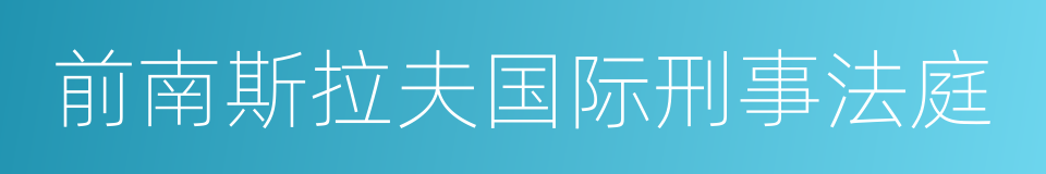 前南斯拉夫国际刑事法庭的同义词