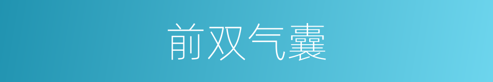 前双气囊的同义词