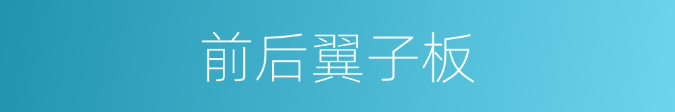 前后翼子板的同义词