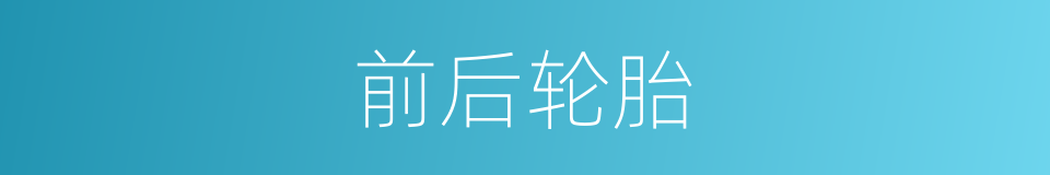前后轮胎的同义词