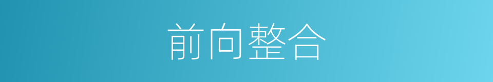 前向整合的同义词