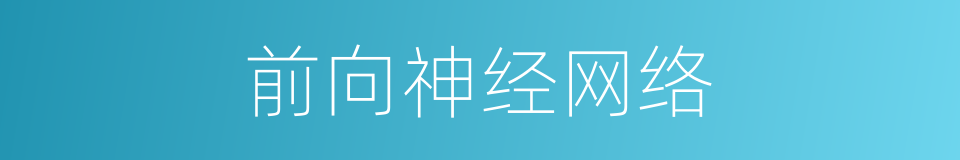 前向神经网络的同义词