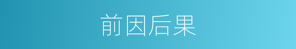 前因后果的意思