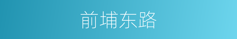 前埔东路的同义词
