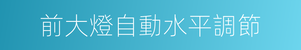 前大燈自動水平調節的同義詞