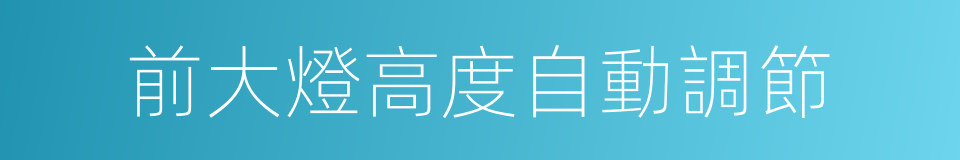 前大燈高度自動調節的同義詞