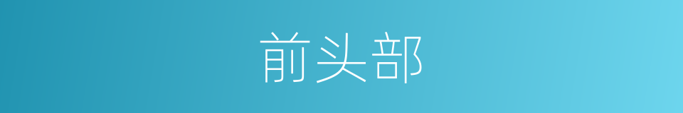 前头部的同义词