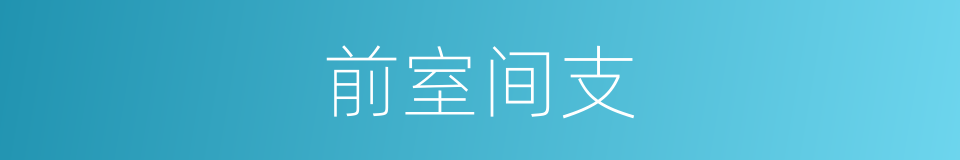 前室间支的同义词