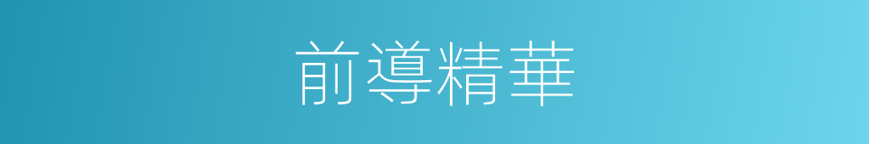 前導精華的同義詞