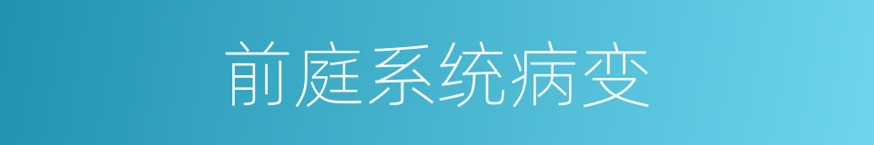 前庭系统病变的同义词