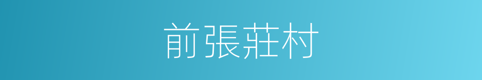 前張莊村的同義詞