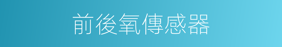 前後氧傳感器的同義詞