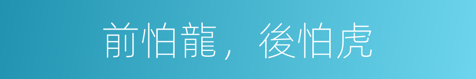 前怕龍，後怕虎的同義詞