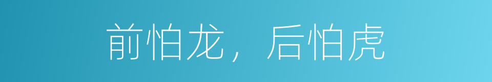 前怕龙，后怕虎的同义词