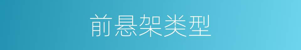 前悬架类型的同义词
