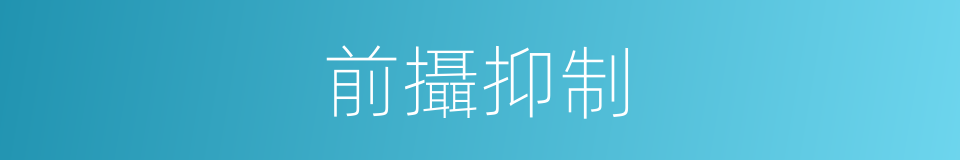 前攝抑制的意思
