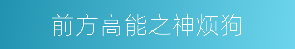 前方高能之神烦狗的同义词