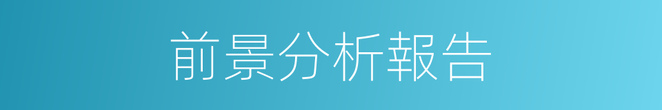 前景分析報告的同義詞