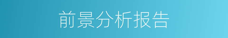 前景分析报告的同义词