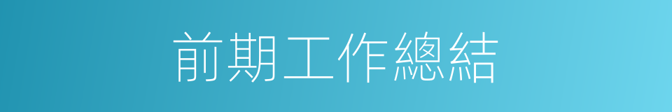 前期工作總結的同義詞