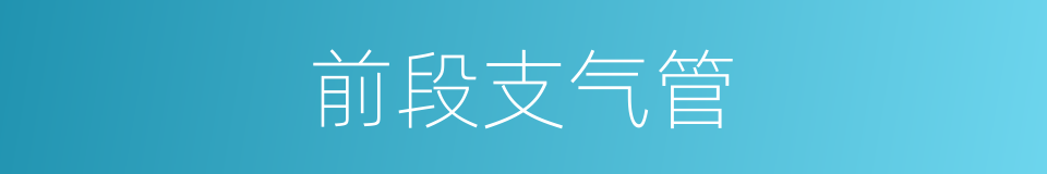 前段支气管的同义词